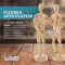 U.S. Art Supply 12" Wooden Male & Female Manikin Posable Figures for Drawing - Articulated Mannequin with Base and Flexible Body for Drawing The Human Figure